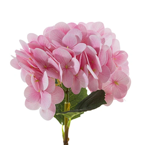 Mudo Home Single Ortanca Çi̇çek Pembe 42cm