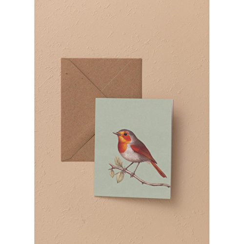 The Mia Art Line Mini Tebrik Kart Seti Robin 9x12 Cm