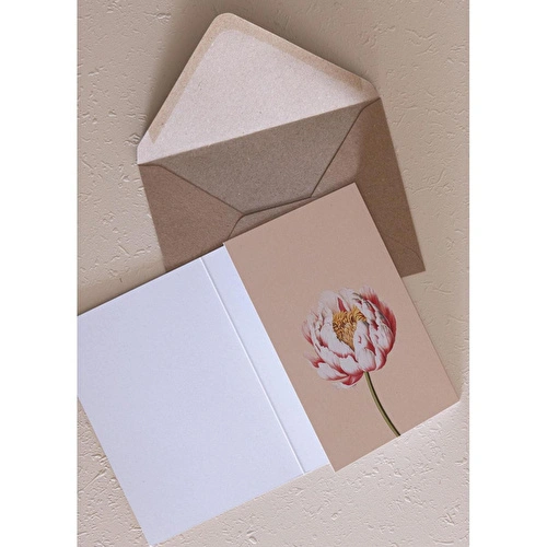 The Mia Art Line Mini Tebrik Kart Seti Peonie 10 X 14 Cm