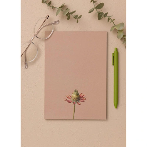 The Mia Art Line Mini Notluk Coneflower 15x21 Cm 40 Yaprak