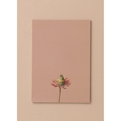 The Mia Art Line Mini Notluk Coneflower 15x21 Cm 40 Yaprak