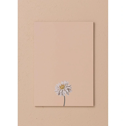 The Mia Art Line Mini Notluk Dahlia 15 X 21 Cm 40 Yaprak