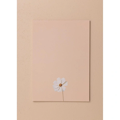 The Mia Art Line Mini Notluk Cosmea 21x30cm 40 Yaprak