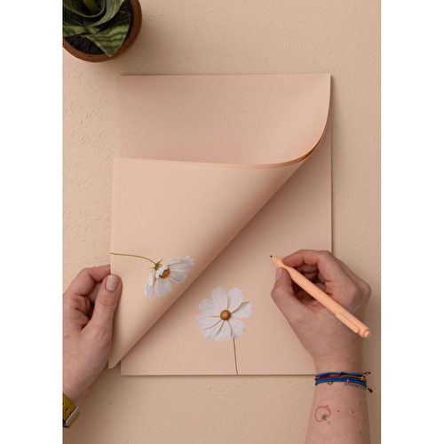 The Mia Art Line Mini Notluk Cosmea 21x30cm 40 Yaprak