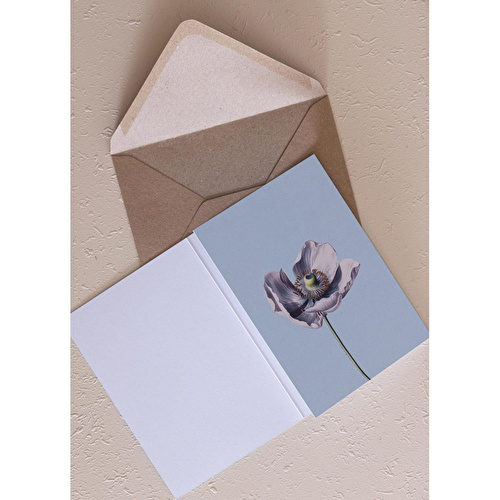 The Mia Art Line Mini Tebrik Kart Seti Anemone 10 X 14 Cm