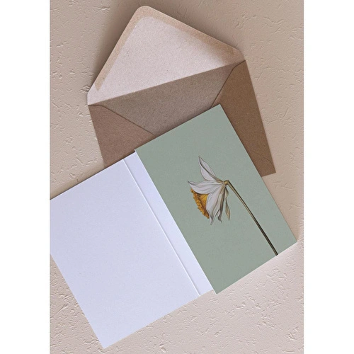 The Mia Art Line Mini Tebrik Kart Seti Daffadil 10 X 14 Cm