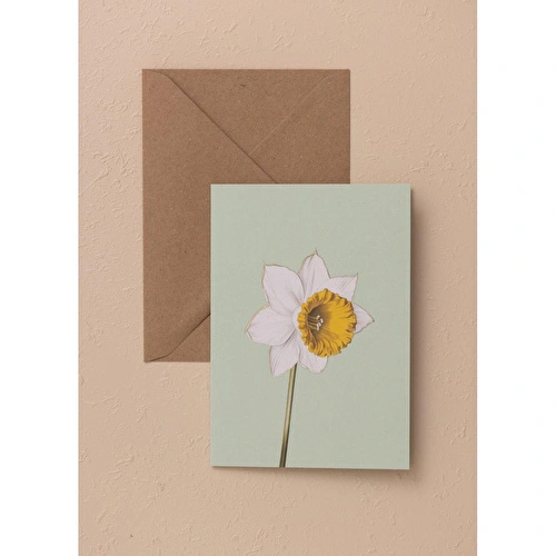 The Mia Art Line Mini Tebrik Kart Seti Daffadil 10 X 14 Cm