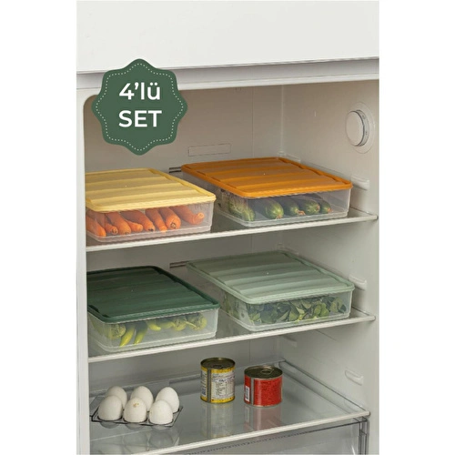 Vienev 4'lü Renkli Büyük Boy Bella Buzdolabı Düzenleyici