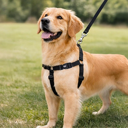 Bloominbag Solid Color H-type Harness