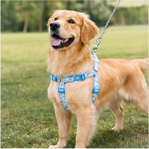 Bloominbag Swissplus Urban Paws Blue Batic Geri Dönüştürülmüş H-tipi Köpek Göğüs Tasması-2xs Bloominbag Swissplus Urban Paws Blue Batic Geri Dönüştürülmüş H-tipi Köpek Göğüs Tasması-2xs