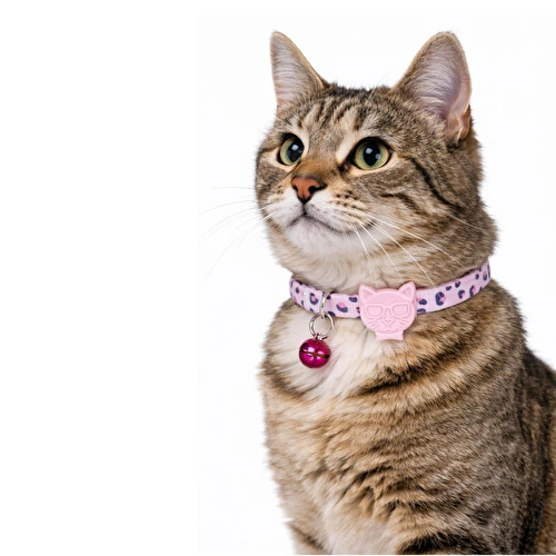 Bloominbag Swissplus Urban Paws Pink Leo Recycled Kedi Tasması - 10 Mm Bloominbag Swissplus Urban Paws Pink Leo Recycled Kedi Tasması - 10 Mm