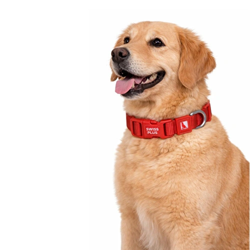 Bloominbag Swissplus Urban Paws Köpek Tasması – Crimson Red | Ayarlanabilir, Dayanıklı, Hafif-20mm Bloominbag Swissplus Urban Paws Köpek Tasması – Crimson Red | Ayarlanabilir, Dayanıklı, Hafif-20mm