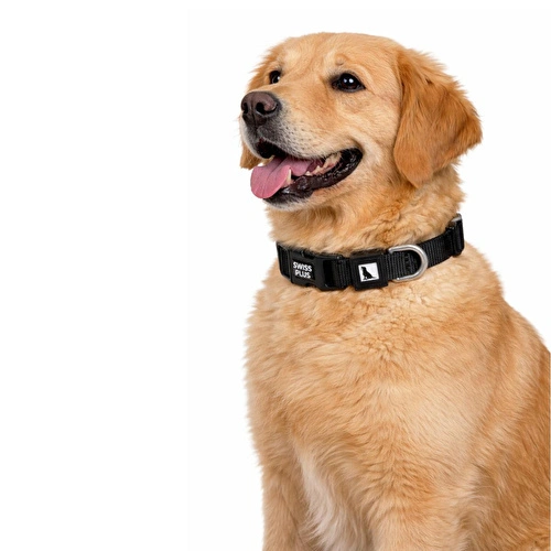 Bloominbag Swissplus Urban Paws Köpek Tasması – Noir Black | Ayarlanabilir, Dayanıklı, Hafif-15mm Bloominbag Swissplus Urban Paws Köpek Tasması – Noir Black | Ayarlanabilir, Dayanıklı, Hafif-15mm