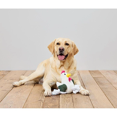 Tchibo Köpek Oyuncağı, Halat
