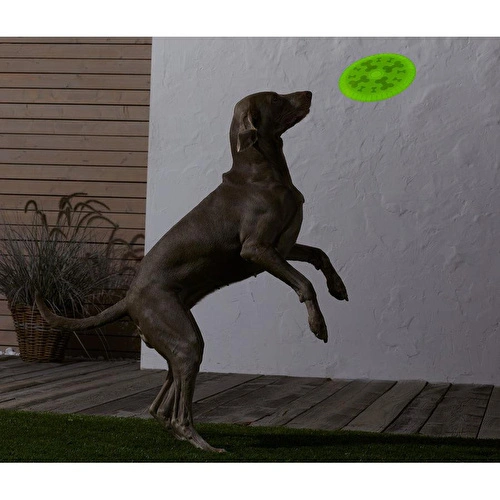 Tchibo Köpekler İçin Frizbi
