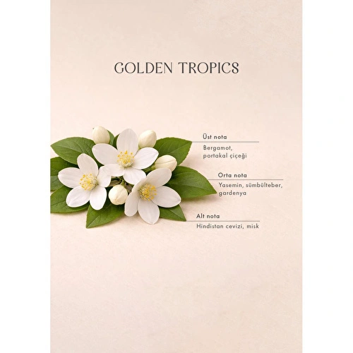 Bella Maison Golden Tropics Soya Wax Kokulu Mum Yeşil (120 Gr) Yeşil