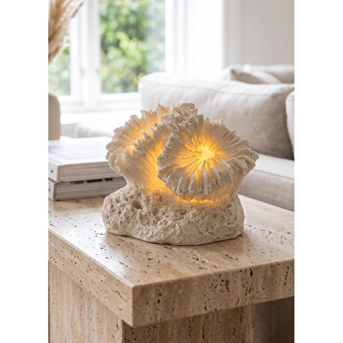 The Mia Marin Led Aydınlatmalı Mercan Deniz Kabuğu 12 Cm