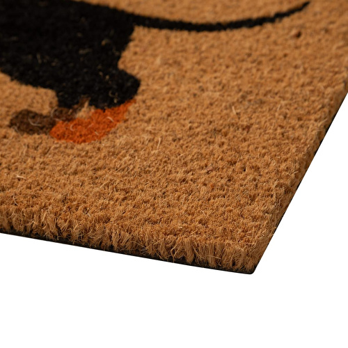 Mudo Home Dog Kapi Paspas 40x60 Cm