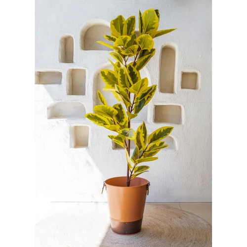 The Mia Ficus Altissima Yapay Ağaç Sarı Yeşil 6 Dal 170 Cm