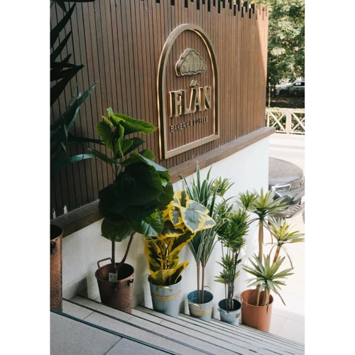 The Mia Ficus Altissima Yapay Ağaç Sarı Yeşil 6 Dal 170 Cm