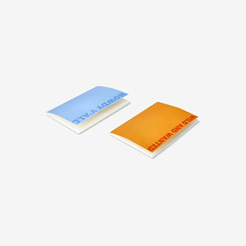 Flying Tiger Copenhagen 2'li Çizgili A5 Defter Seti