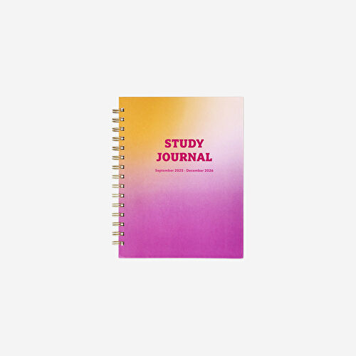 Flying Tiger Copenhagen Pembe 2026 Çalışma Planlayıcı Defter