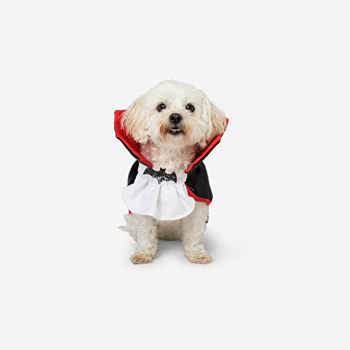 Flying Tiger Copenhagen Drakula Şeklinde Evcil Hayvan Kostümü