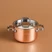 Karaca Powersteel 3Ply 316+ İndüksiyon Tabanlı Çelik Mini Tencere 10 Cm Copper