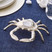 Karaca Marin Crap Mumluk 18,5x20,25x4,5 cm