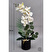 Biçiçek Yapay Phalaenopsis Orkide Buyuk Boy