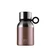 Bugatti Pas Cel Yemek Termosu 500ml Rose Gold