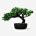 Flying Tiger Copenhagen Yapay Bonsai Ağacı