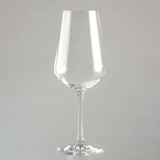 Jumbo Lina 6'lı Kadeh Takımı 450 ml