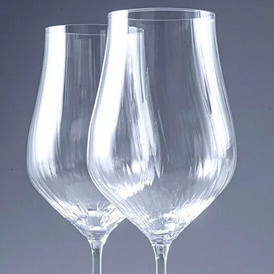 Jumbo Tulipa 6'lı Kadeh Takımı 550 ml