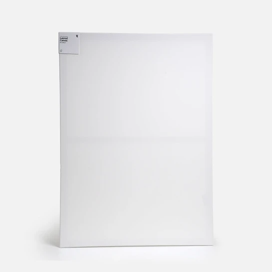 Flying Tiger Copenhagen Kanvas Tuval 65 cm x 90 cm