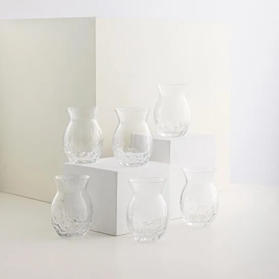 Jumbo Classy Cırcle 6'lı Çay Bardağı