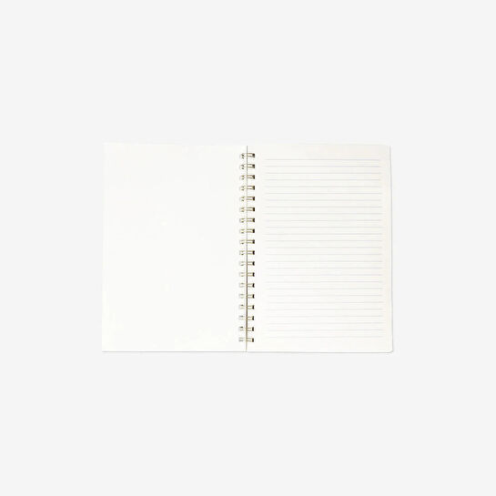 Flying Tiger Copenhagen Çok Renkli Çizgili Spiralli B5 Defter