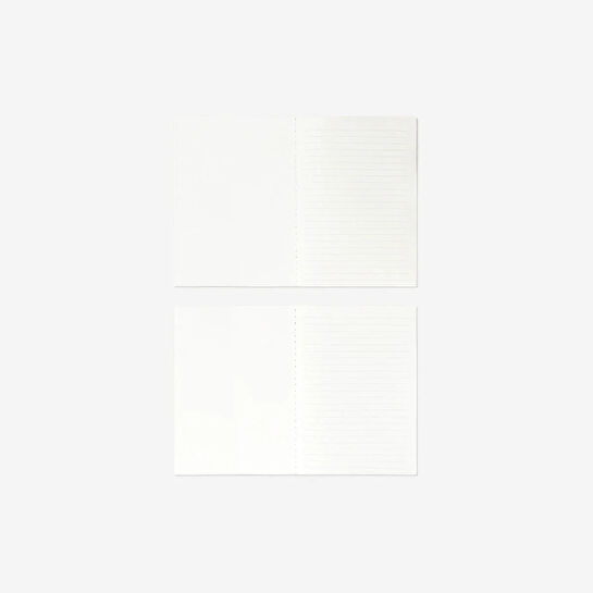 Flying Tiger Copenhagen 2'li Çizgili A5 Defter Seti