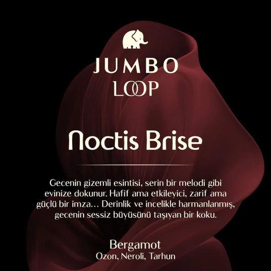 Jumbo Loop Noctis Brise Çubuklu Oda Kokusu, Mat Burgendy Şişe
