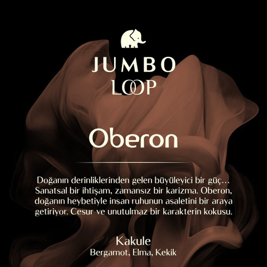 Jumbo Loop Oberon Çubuklu Oda Kokusu, Mat Kahve Şişe