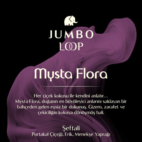 Jumbo Loop Mysta Flora Çubuklu Oda Kokusu, Mat Gül Kurusu Şişe