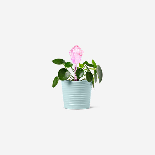 Flying Tiger Copenhagen Pembe Kaktüs Şeklinde Saksı Sulama Aparatı