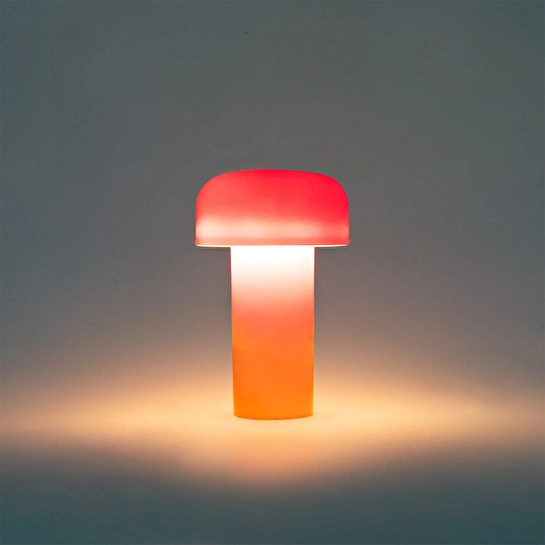 Flying Tiger Copenhagen Pembe Mantar Lamba