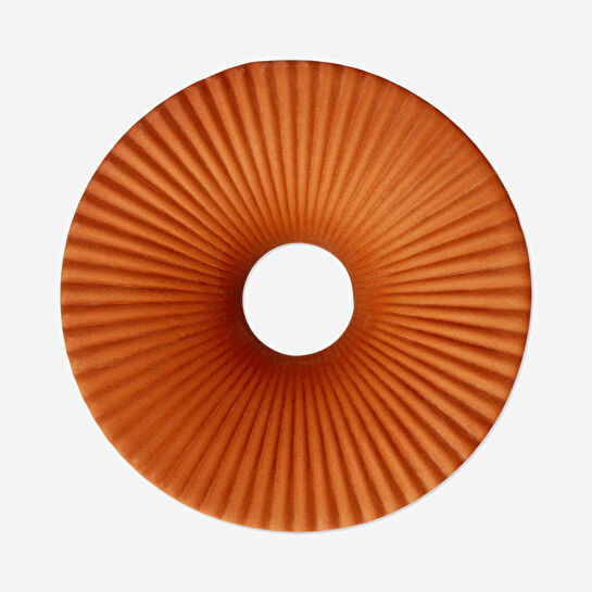 Flying Tiger Copenhagen Avokado Yetiştirme Tabağı