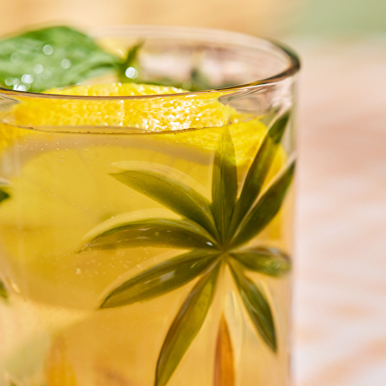Karaca Palmiyeli Meşrubat Bardağı 400 ml