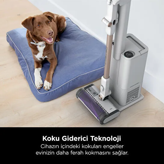 Shark Detect Clean Empty Auto-Empty Sistemli Turbo Başlıklı Şarjlı Dikey Süpürge 2L