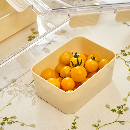 Karaca Suzi 6 Bölmeli Taşınabilir Saklama Kabı