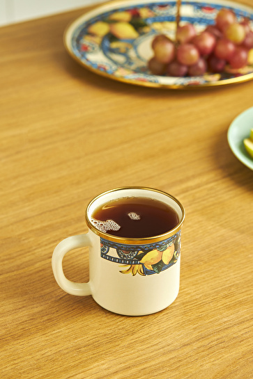 Karaca Amalfi Emaye Kupa 350 ml 