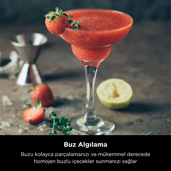 Ninja Detect Pro Blender