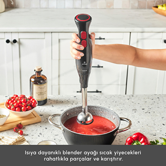 Emsan Pro Multimax 6 in 1 Çok Amaçlı Mutfak Robotu Black